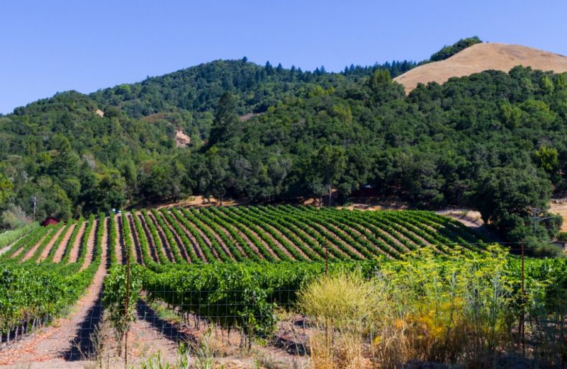 Local Countertop Replacement Service in Santa Rosa, CA